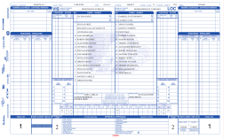 game sheet - Ligue Section Vallée du Richelieu