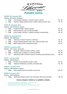 Poledn&iacute; menu - Penzion Lihovar