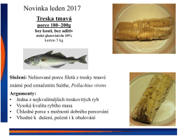 Prezentace aplikace PowerPoint