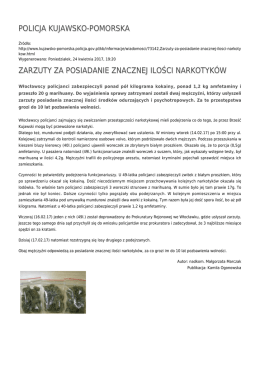 policja kujawsko-pomorska zarzuty za posiadanie znacznej ilości