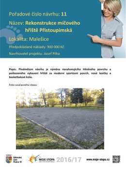 Pořadov&eacute; č&iacute;slo n&aacute;vrhu: 11 N&aacute;zev: Rekonstrukce