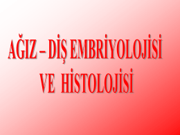 Embriyoloji Notları
