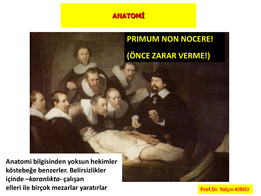 Primum non nocere. ПРИМУМ нон ноцере. Noli Nocere рисунок. Журнал non Nocere. Primum non Nocere перевод с латинского.