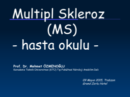 MS-tarihçe - Prof. Dr. Mehmet Özmenoğlu