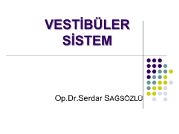 Vestibüler Sistem