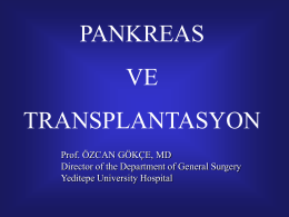 Pancreas and transplantation