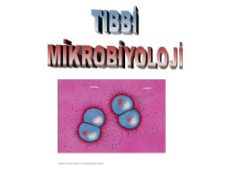 Mikrobiyoloji I