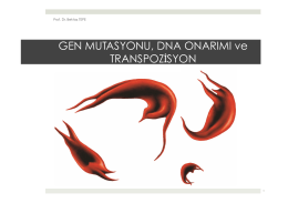 Gen Mutasyonu, DNA onarımı ve Transpozisyon