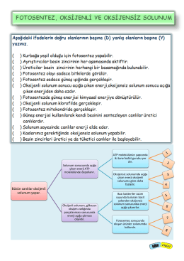 8. Sınıf TEOG Sınavı Fotosentez ve Solunum Konusu