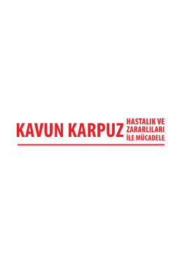 KAVUN KARPUZ - TC Gıda Tarım ve Hayvancılık Bakanlığı