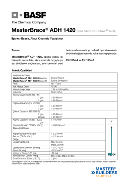 MasterBrace® ADH 1420 (Eski Adı CONCRESIVE