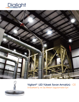 Vigilant® LED Yüksek Tavan Armatürü - CE