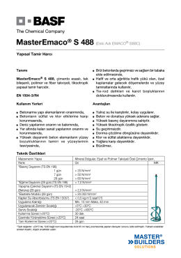 MasterEmaco® S 488 (Eski Adı EMACO® S88C