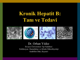 Kronik Hepatit B: Tanı ve Tedavi