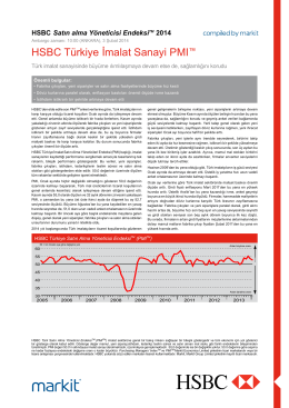 HSBC Turkey Manufacturing PMI report - January 2014