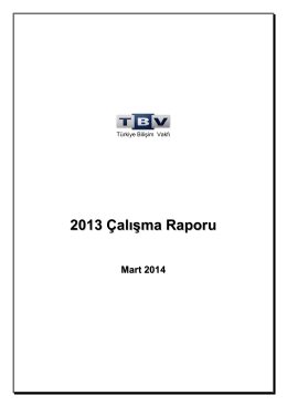 2013 Çalışma Raporu - Türkiye Bilişim Vakfı