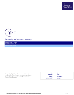 iPF Örnek Detay Rapor