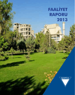 2013 Yılı Faaliyet Raporu