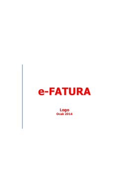 Logo Connect E-fatura Kurulum