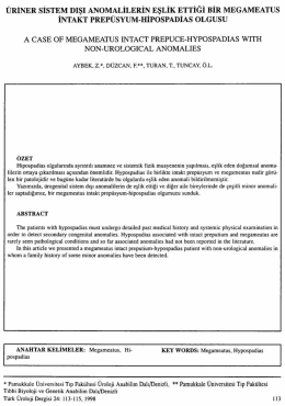 Tam Metin (PDF)
