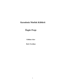 Karadeniz Yemek Kuturu Ozgur Proje Raporu