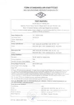 T&Uuml;RK sTANDARDLARı ENSTİT&Uuml;S&Uuml; BELGELENoıRıı/ıe