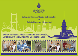 Rehabilitasyon Hizmetleri - İstanbul Büyükşehir Belediyesi