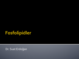 Ders13_Fosfolipidler - Prof. Dr. Suat Erdoğan