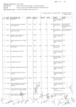 İhale Kayıt Numarası: 2013/183028