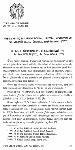 Tam Metin (PDF)