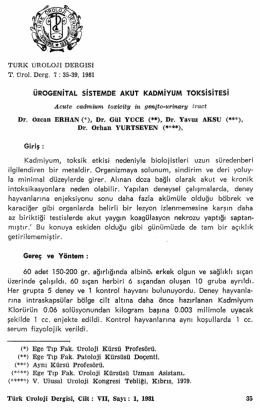Tam Metin (PDF)
