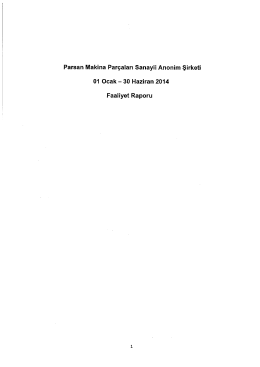 2014/06 Faaliyet Raporu