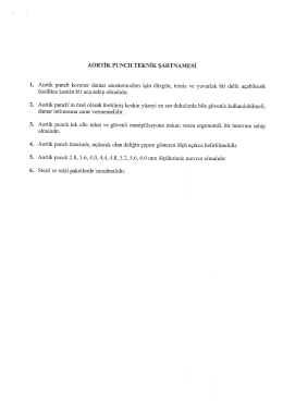 AoRTİK PUNCH TEKNİK ŞARTNAMESİ