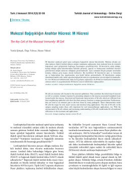 M Hücresi - Turkish Journal of Immunology
