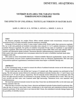 Tam Metin (PDF)