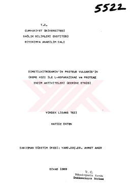 Hatice &Ouml;kten - Cumhuriyet &Uuml;niversitesi