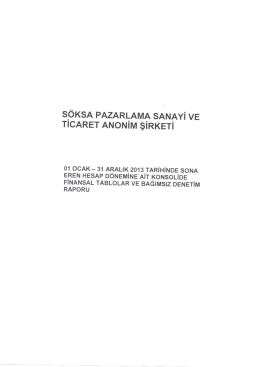 Söksa Pazarlama 2013 Denetim Raporu