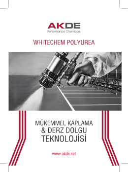 AKDE Whitechem Polyurea Bros&uuml;r