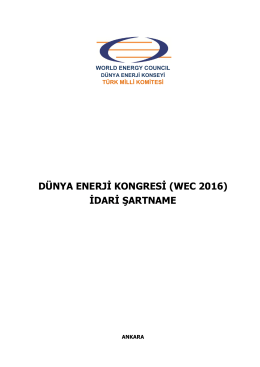 Teknik ve İdari Şartname - Dünya Enerji Konseyi Türk Milli Komitesi
