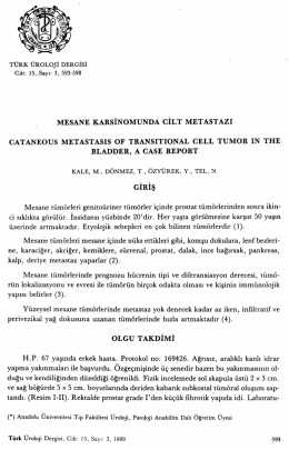 Tam Metin (PDF)