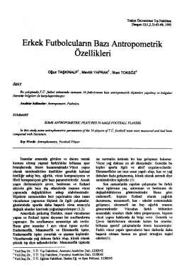 Teslim edilecek olan ilk raporun formatı aşağıdaki gibi olacaktır. Son