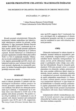 T&Uuml;M OKUL M&Uuml;D&Uuml;RL&Uuml;KLERİNE-Yaşam İ&ccedil;in Kalori,Sağlık İ&ccedil;in Koşu