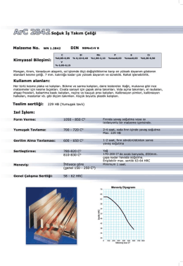 A&Uuml;&copy; Soğuk İş Takım &Ccedil;eliği