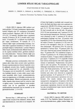Tam Metin (PDF)