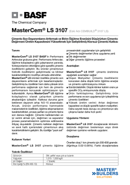 MasterCem® LS 3107 (Eski Adı CEMBUILD® 3107 LS