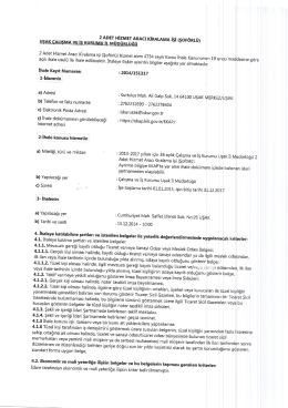 2 ADET ı-ıizMEr ARACI KİRALAMA işi (şoF&ouml;RL&uuml;) AK ALı MA vel