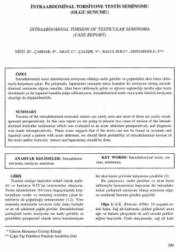 Tam Metin (PDF)