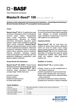 MasterX-Seed® 100 (Eski adı X-SEED® 100) Çimento