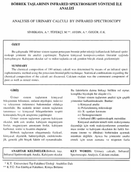 Tam Metin (PDF)