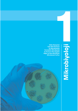 K&uuml;lt&uuml;r Besiyerleri Gıda Mikrobiyolojisi Su Mikrobiyolojisi